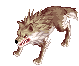 Lobo do Deserto